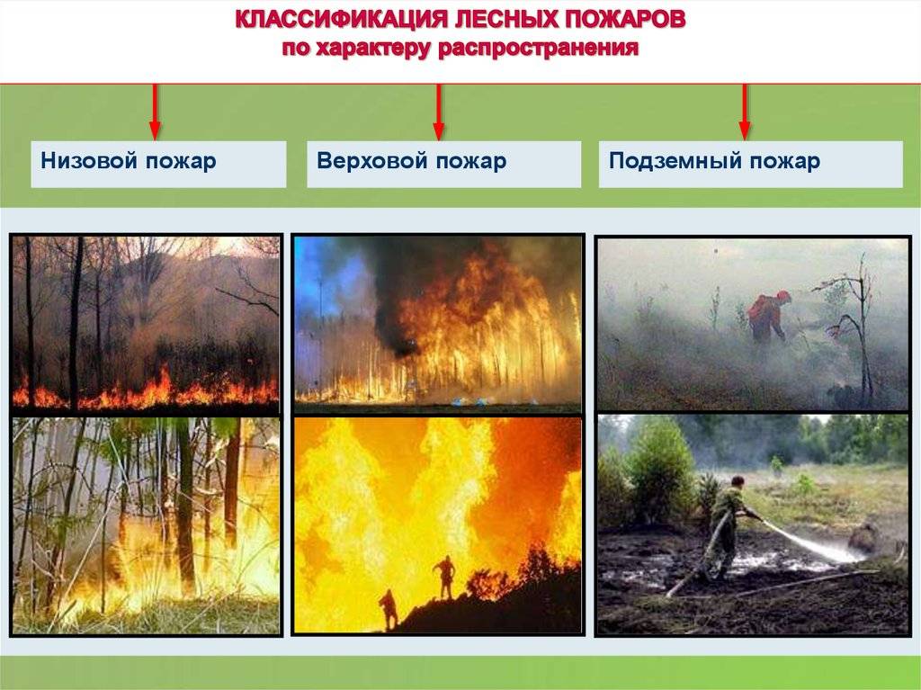 Какие существуют пожары. Торфяной верховой и низовой пожар. Классификация лесных пожаров. Лесные пожары торфяные пожары Тип ЧС. Лесные пожары бывают низовые верховые и подземные.
